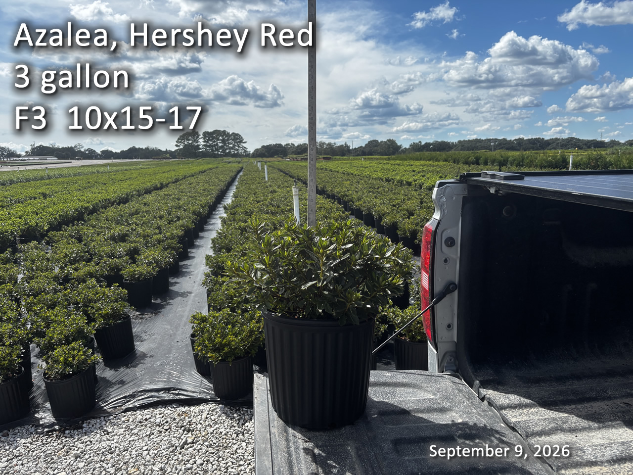 gallery/hr3 f3 sept9.jpg